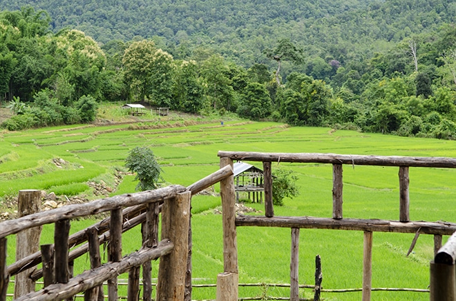 Sous Vide Kalbsnacken Steak