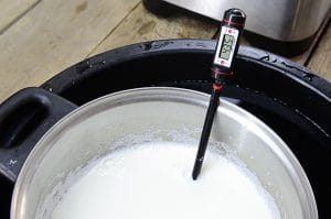 Joghurt selber machen