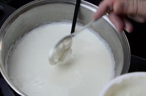 Joghurt selber machen