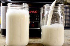 Joghurt selber machen