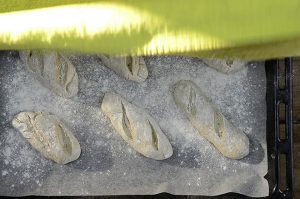 Baguette-Brötchen selber backen