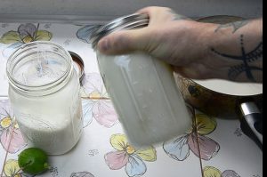 Milchsäurebakterien, Probiotika selber kultivieren und Joghurt machen