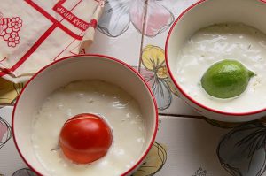 Milchsäurebakterien, Probiotika selber kultivieren und Joghurt machen
