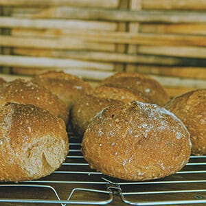 Dinkelbrötchen Rezept