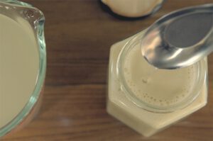 Rejuvelac Kokosjoghurt und Sojajoghurt selber machen.