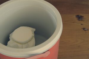 Rejuvelac Kokosjoghurt und Sojajoghurt selber machen.