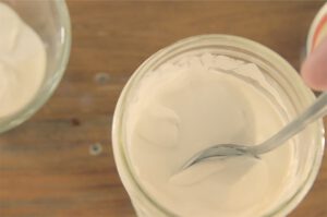 Rejuvelac Kokosjoghurt und Sojajoghurt selber machen.