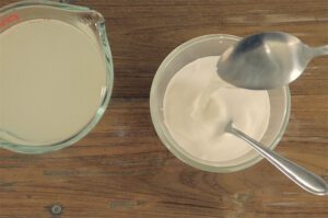 Rejuvelac Kokosjoghurt und Sojajoghurt selber machen.