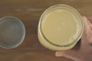 Rejuvelac Kokosjoghurt und Sojajoghurt selber machen.