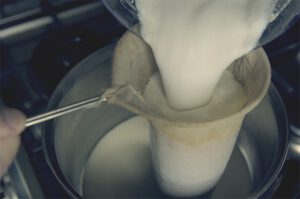 Rejuvelac Kokosjoghurt und Sojajoghurt selber machen.