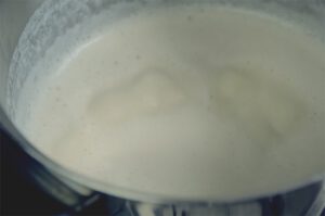 Rejuvelac Kokosjoghurt und Sojajoghurt selber machen.