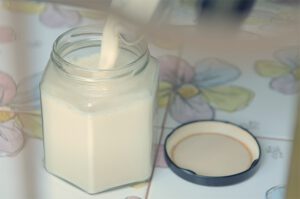 Rejuvelac Kokosjoghurt und Sojajoghurt selber machen.