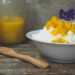 Amazake mit Reis Koji selber machen
