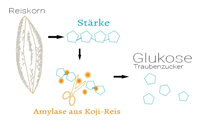 Amazake mit Reis Koji selber machen