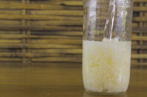 Amazake mit Reis Koji selber machen