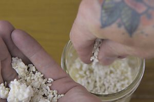 Amazake mit Reis Koji selber machen