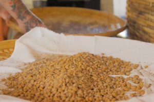 Sojasauce selber machen