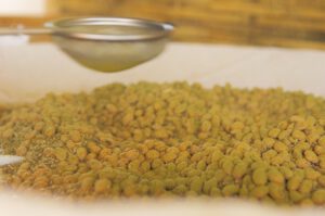 Sojasauce selber machen