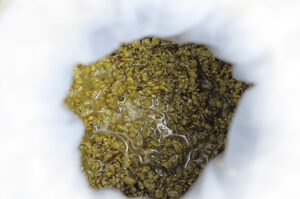 Sojasauce selber machen