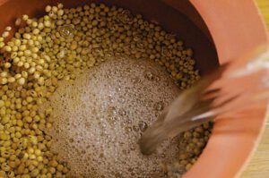 Sojasauce selber machen