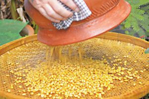 Sojasauce selber machen