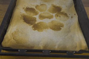Sonntagsbrötchen Rezept
