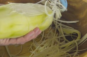 Som Dam - gestampfter grüner Papaya-Salat