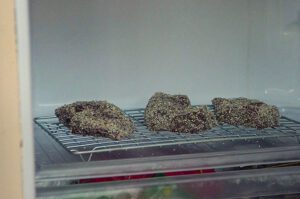 Steaks mit Koji Reis "Dry-Agen" und zart machen