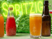 Ingwerbier selber machen