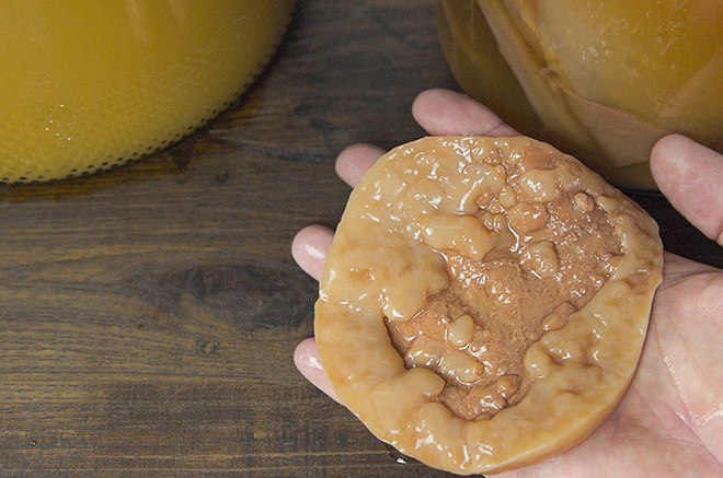 Apfelessig selber machen - Apple Cider Vinegar